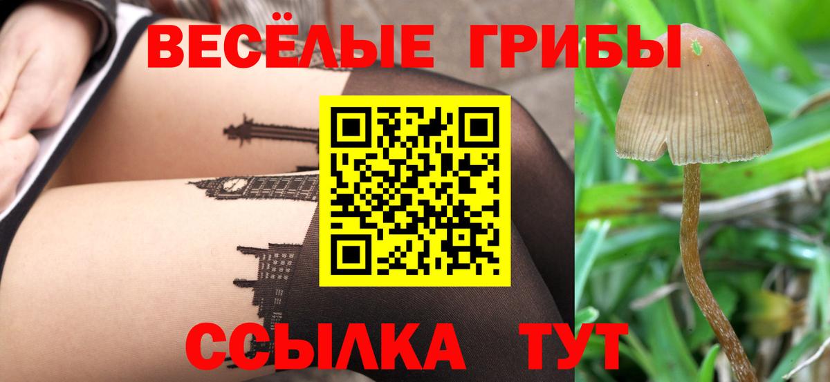 Галлюциногенные грибы мицелий Тутаев